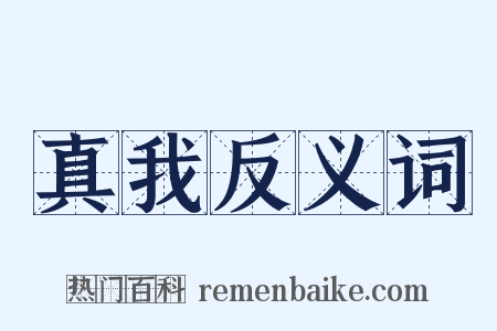 真我反义词是什么意思的图片